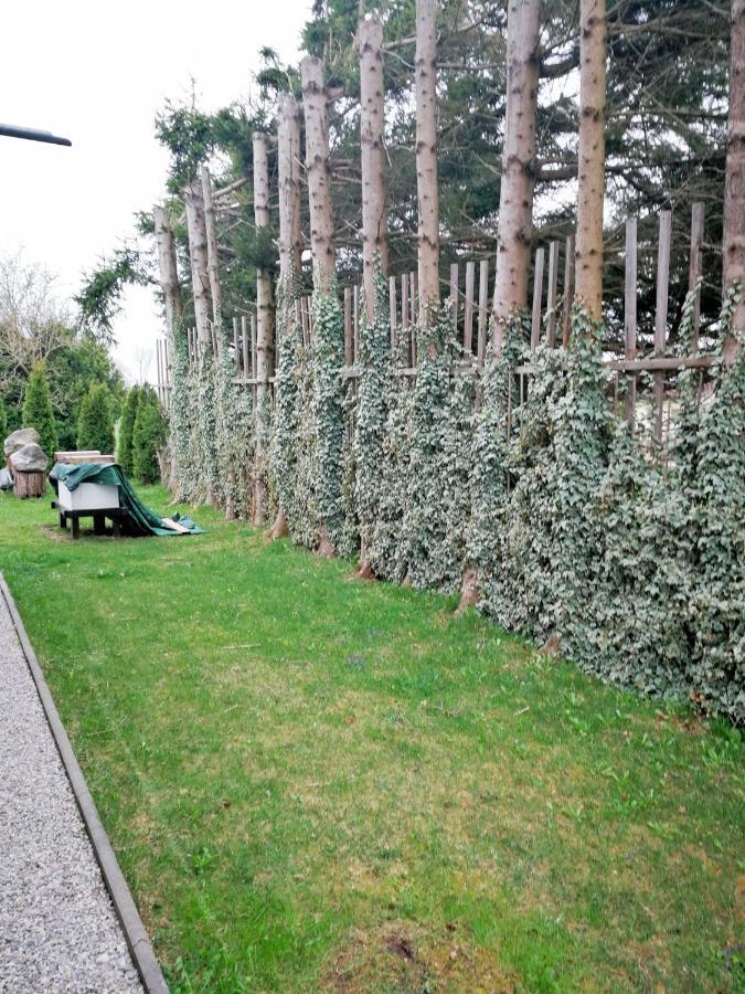 Muensing Naehe Starnberger See, Schoene Ferienwohnung, Gaestewohnung 125Qm Eg Und Og Kontaktfrei Εξωτερικό φωτογραφία
